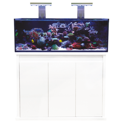 D-D REEF-PRO 1200 - ULTRA GLOSS WHITE