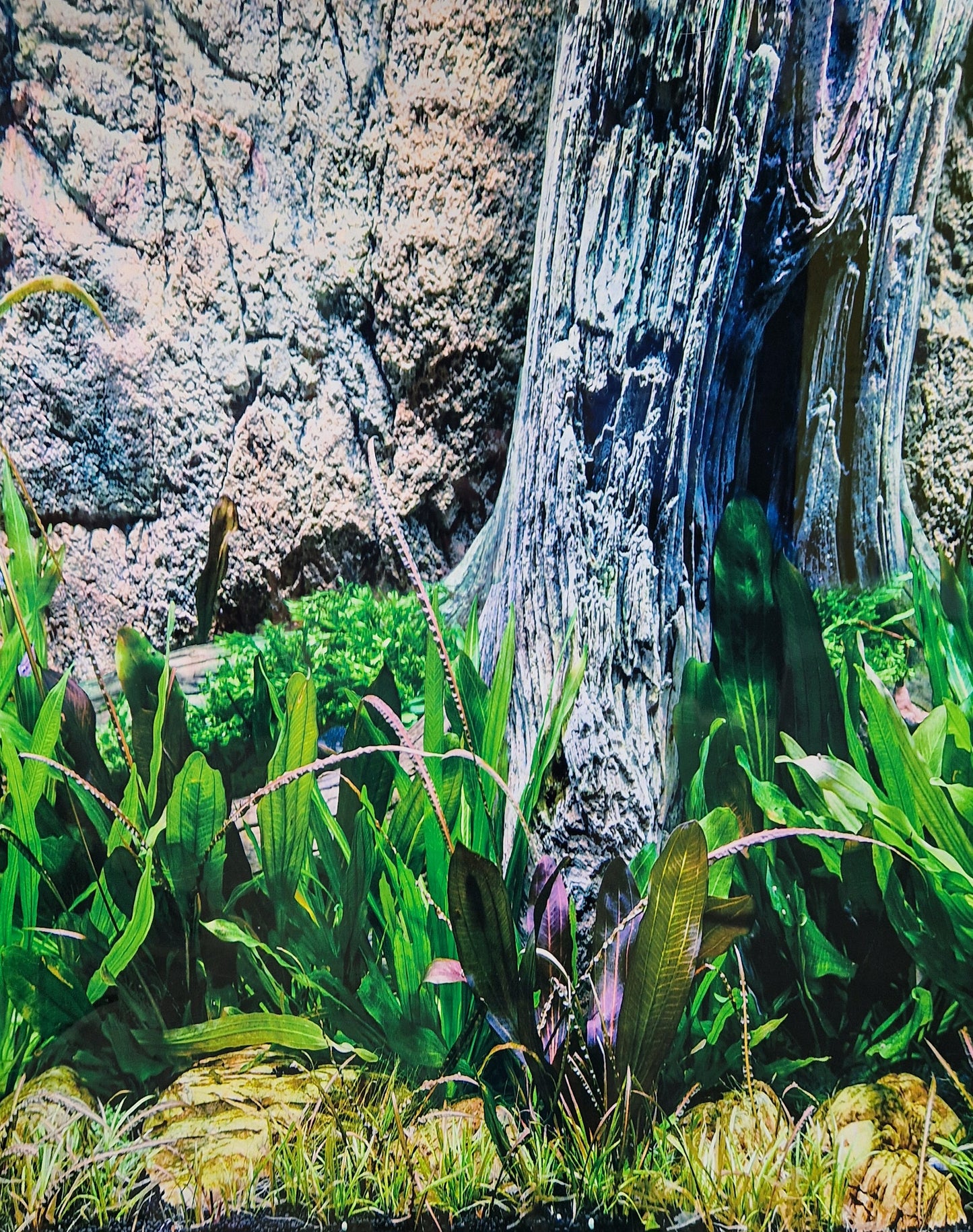 Aquarium background jungle types per foot
