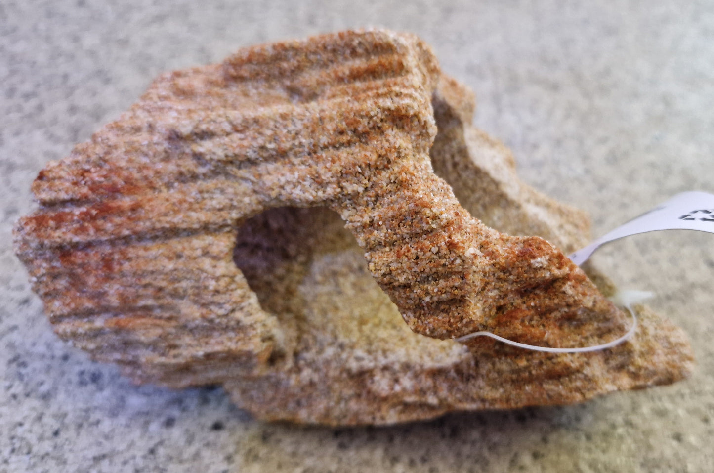 Aqua one Sandstone log with three holes