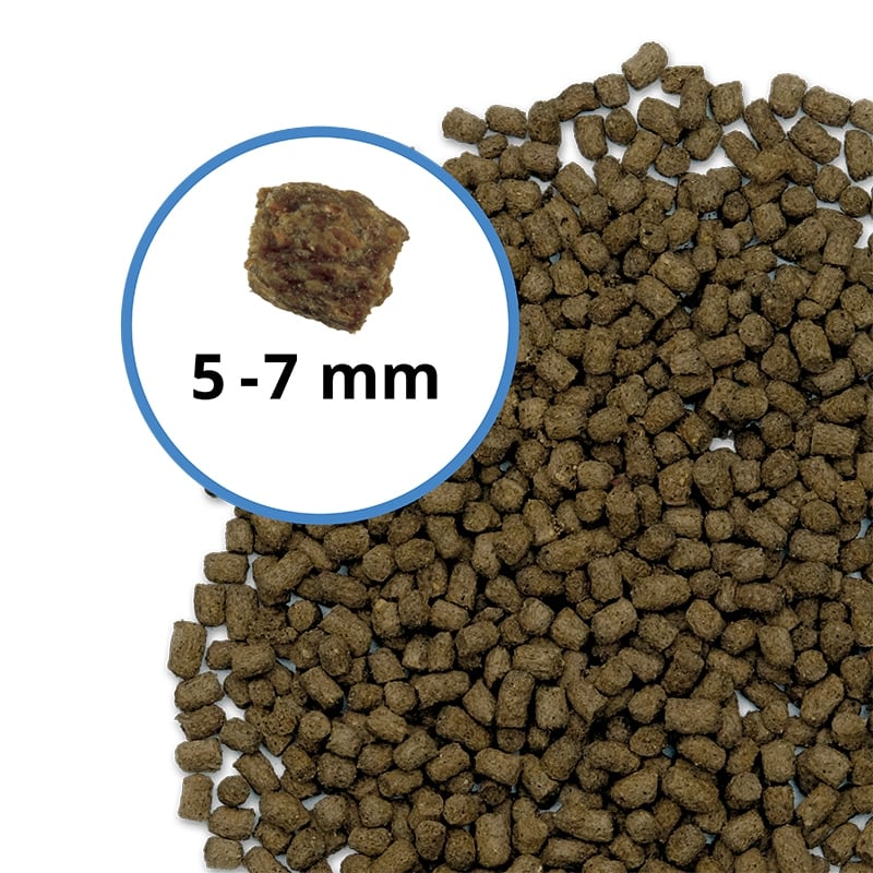 Fluval Bug bites cichlid pellets 100g