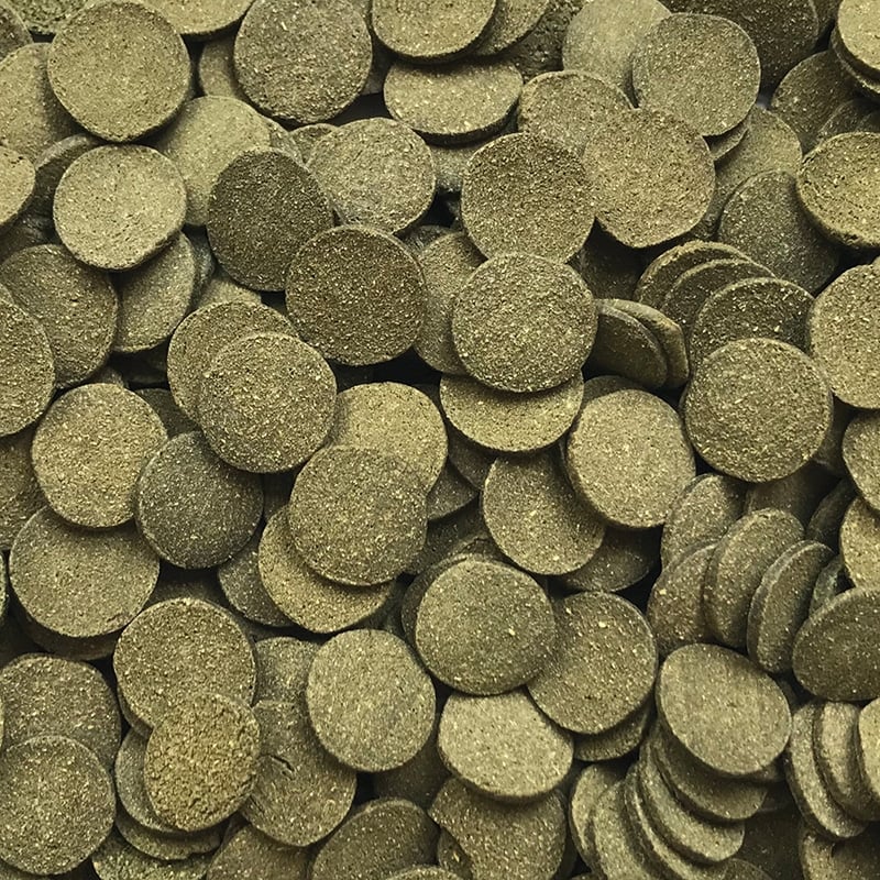 Fluval Bug Bites Algae Crisps 40g