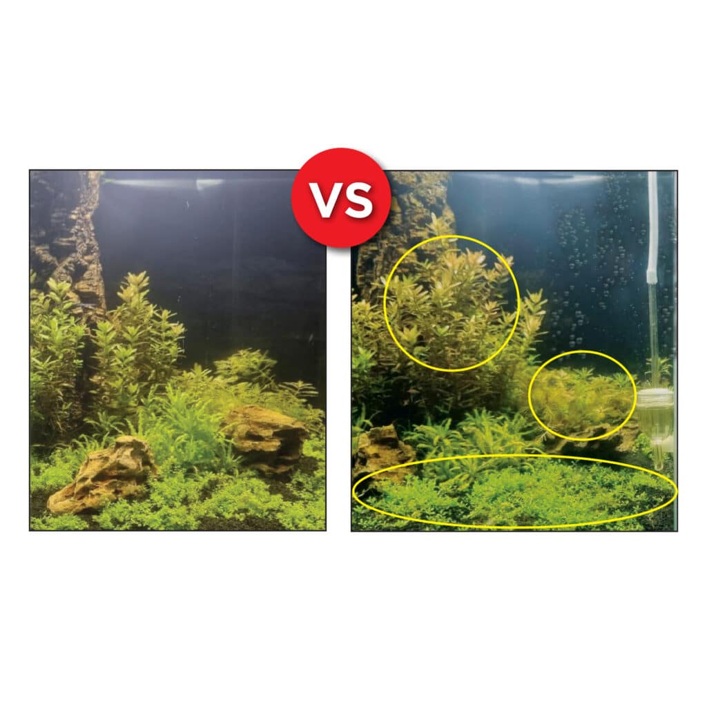 Fluval Bio CO2 250L