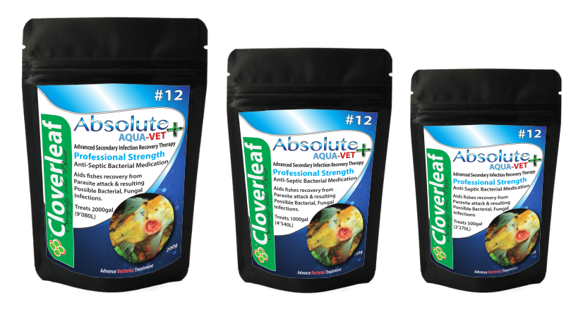 Absolute Aqua-Vet+ Recovery+ 50g