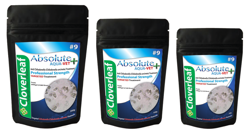 Absolute Aqua-Vet+ treatment for Chilodonella+ 200g