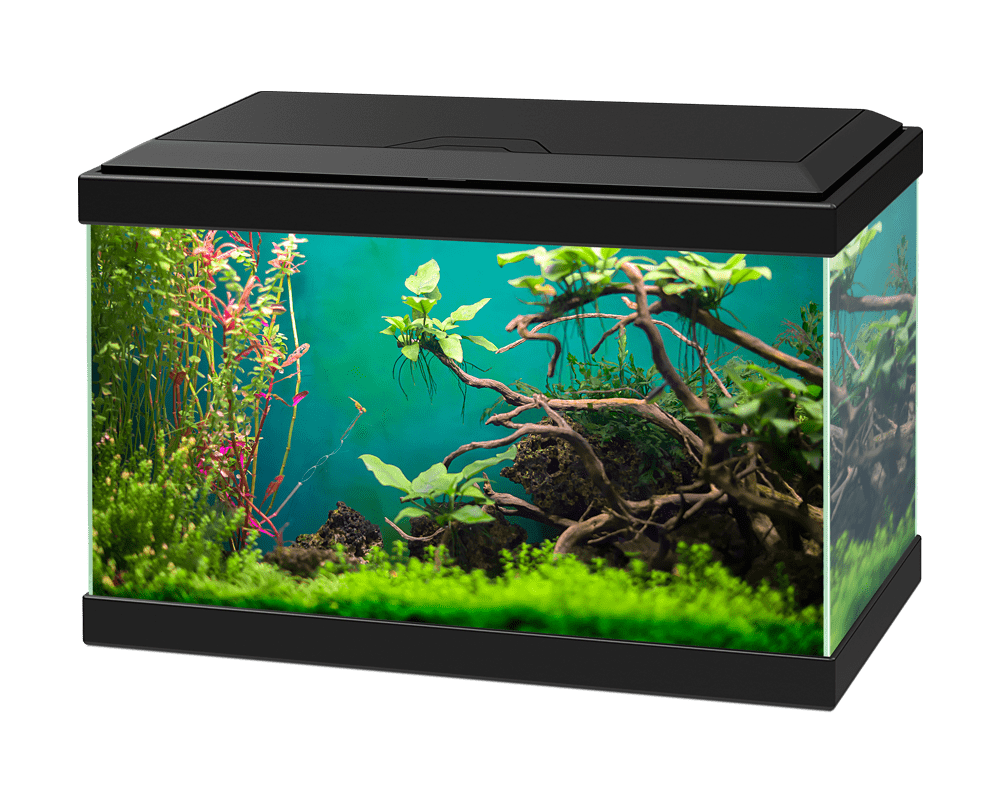 Aqua Ciano 20C