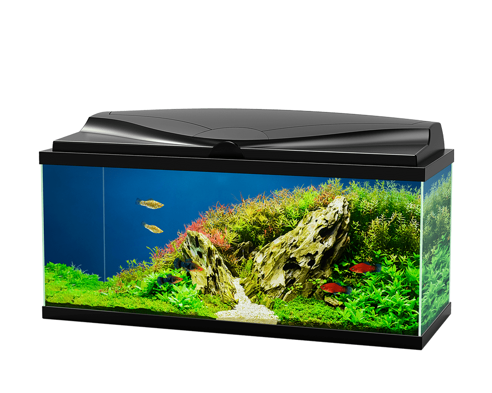 Ciano aquarium 80 led black