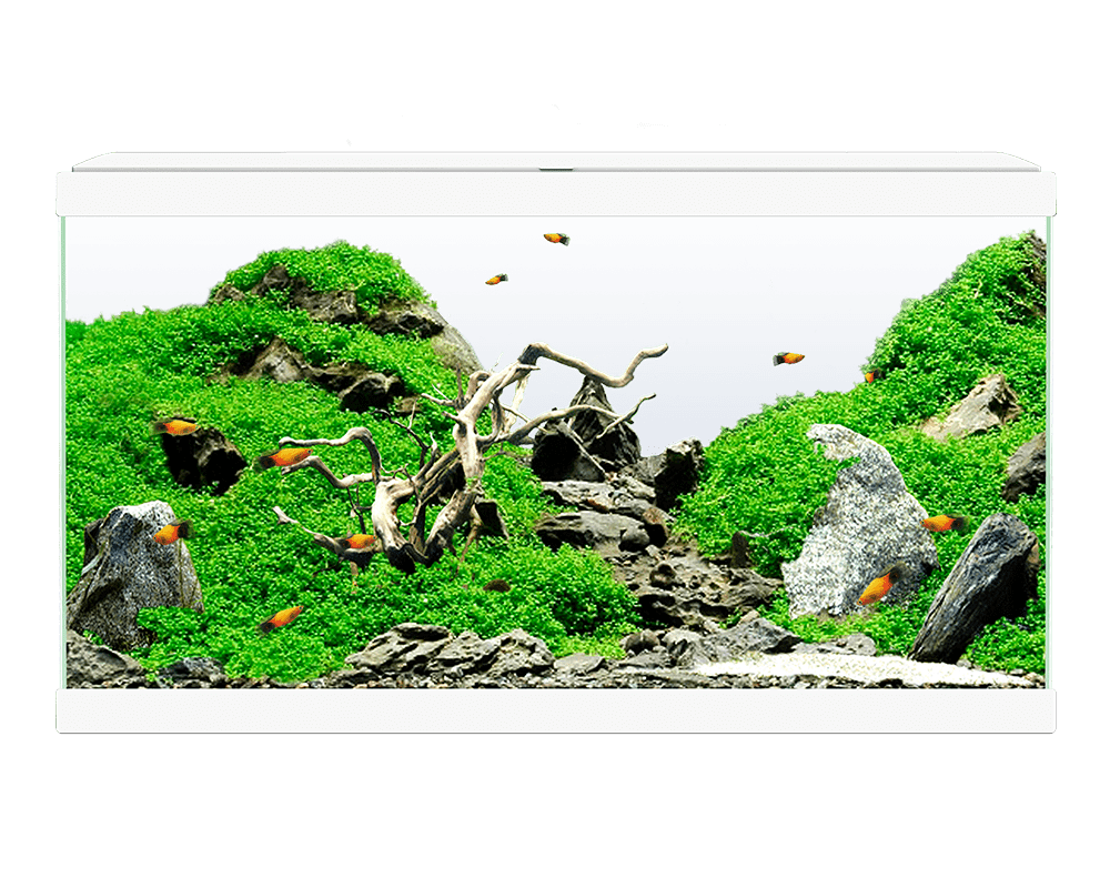 Ciano Aqua 80 LED aquarium set white