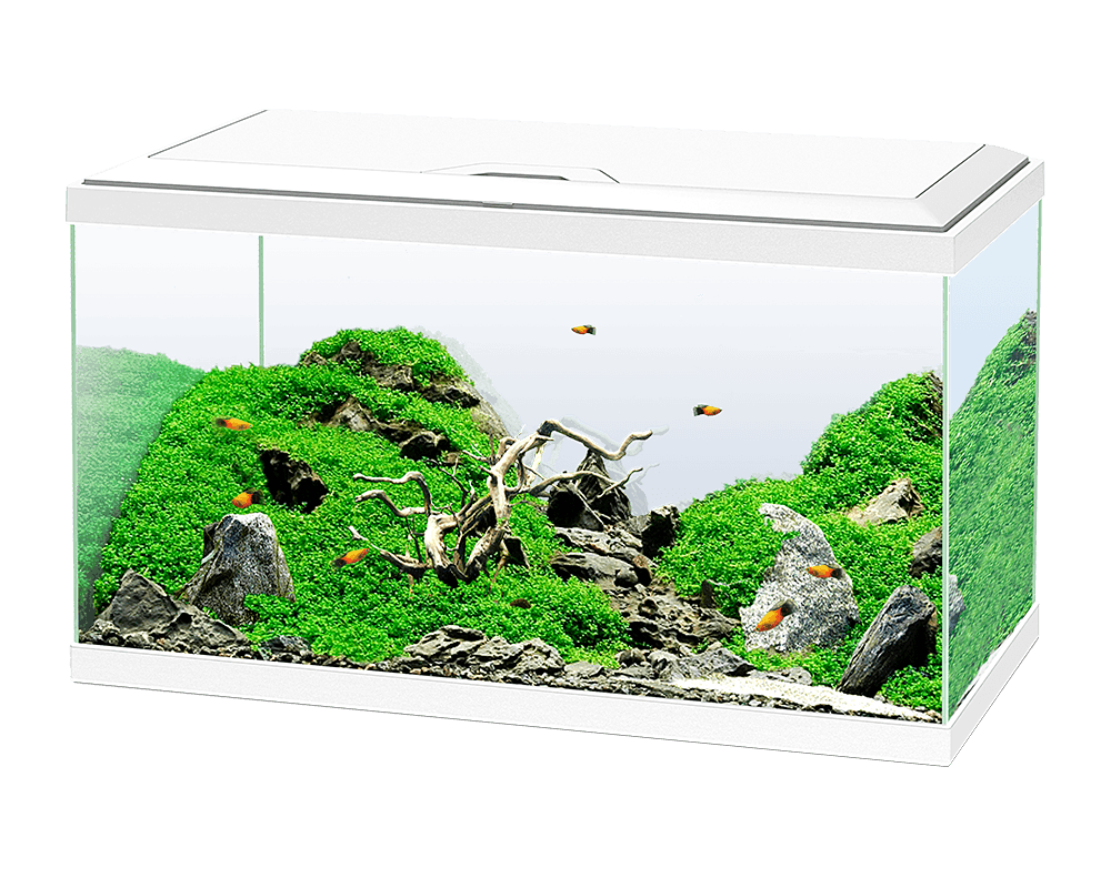 Ciano Aqua 80 LED aquarium set white
