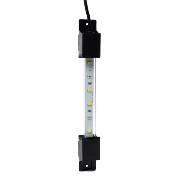 Interpet led blue & white 20cm