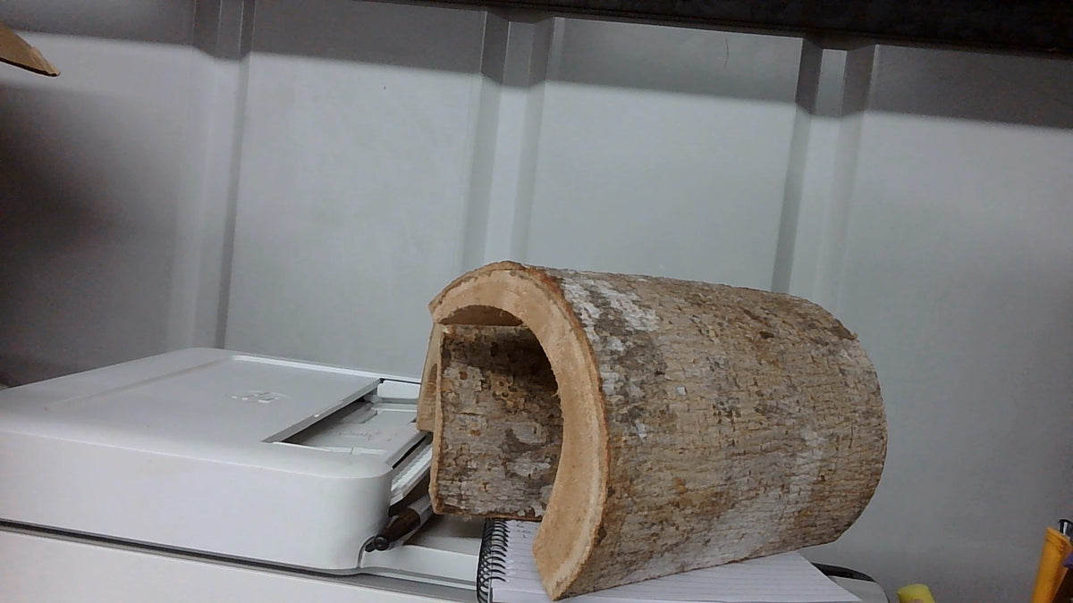 PR Wooden Hide Desert Large 20cm