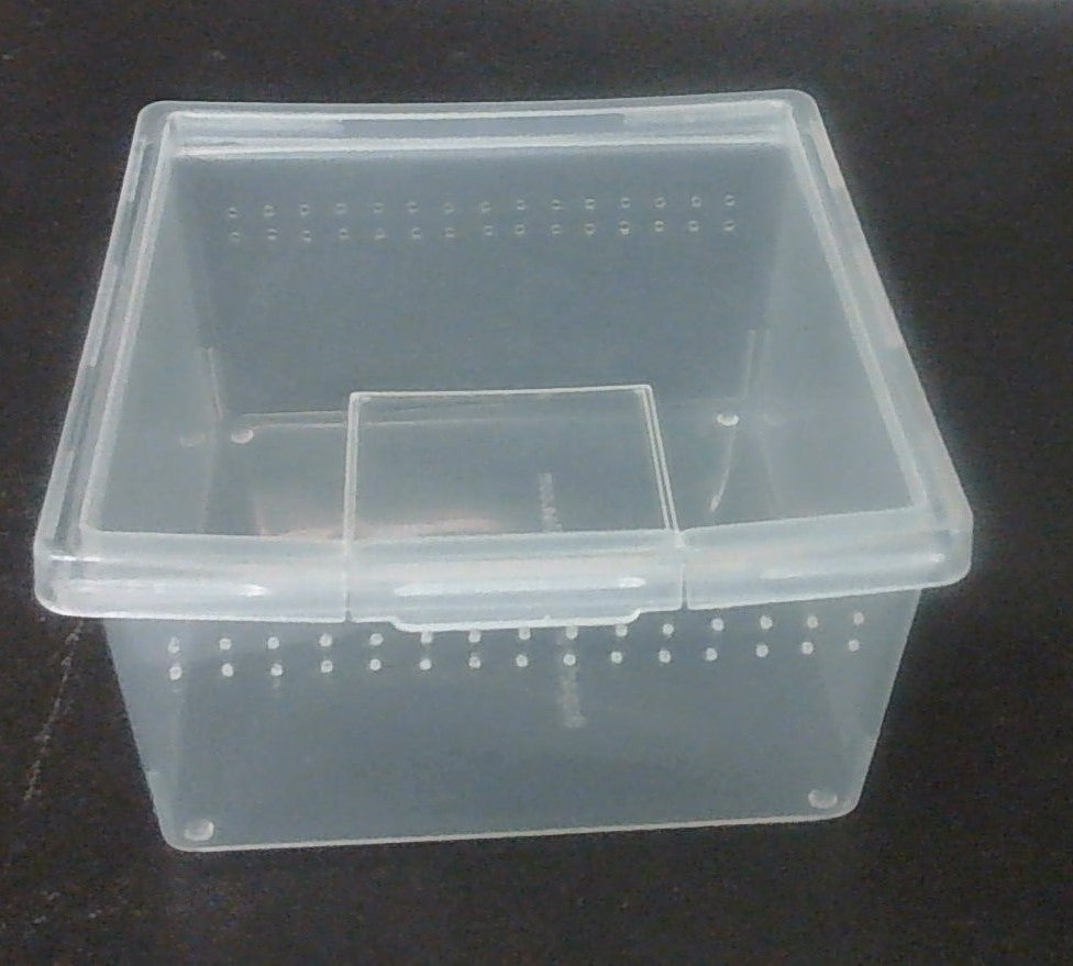 PL Square Container W/Flip Lid 7oz