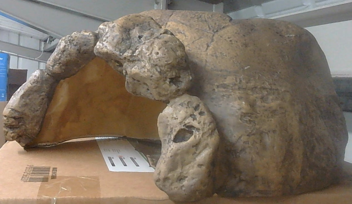 Exo Terra Tortoise cave