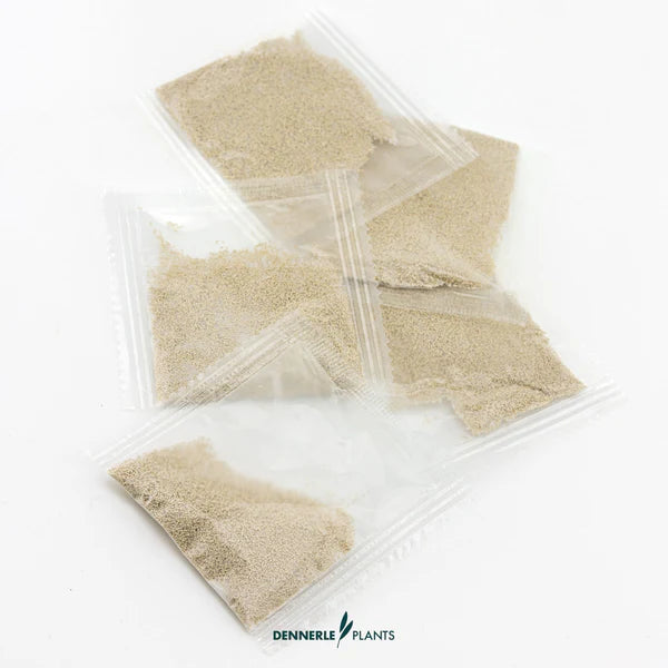 Dennerle Plants CO2 Starter Refill