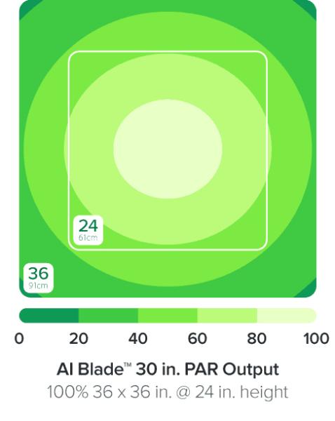 Ai Blade Coral Glow 66"