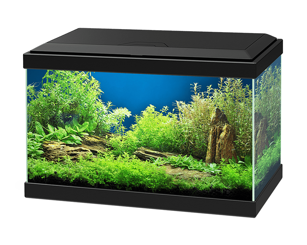 Ciano Aqua 20 led black