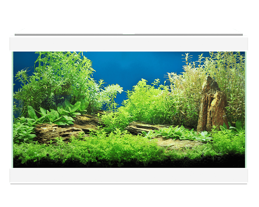 Ciano aquarium led 20 white