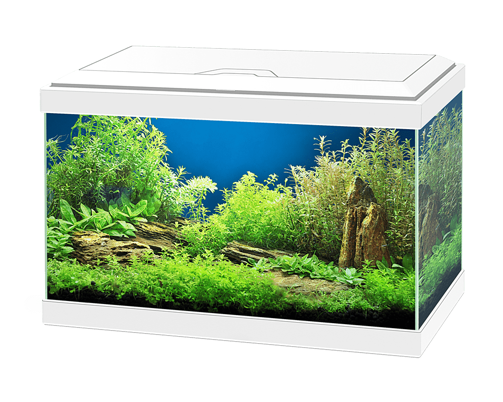 Ciano aquarium led 20 white