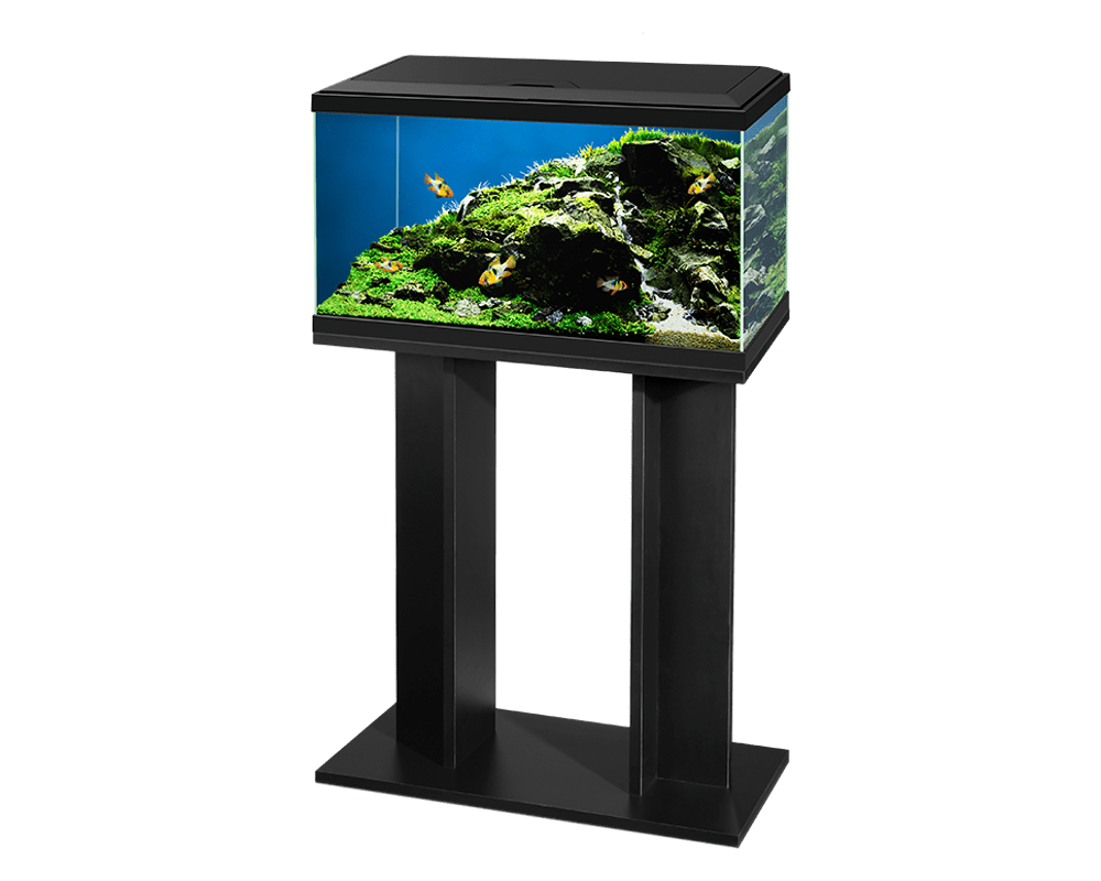 Ciano Aqua 60 led black
