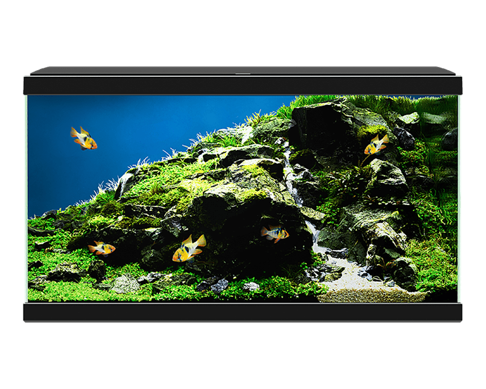 Ciano Aqua 60 led black