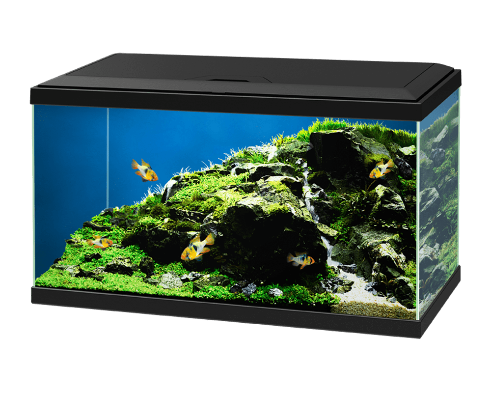 Ciano Aqua 60 led black