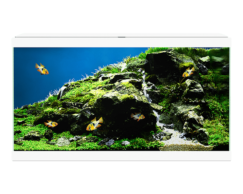Ciano Aqua 60 led white