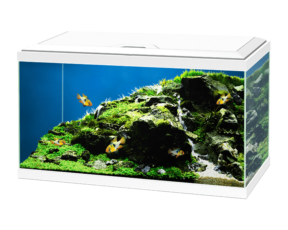 Ciano Aqua 60 led white
