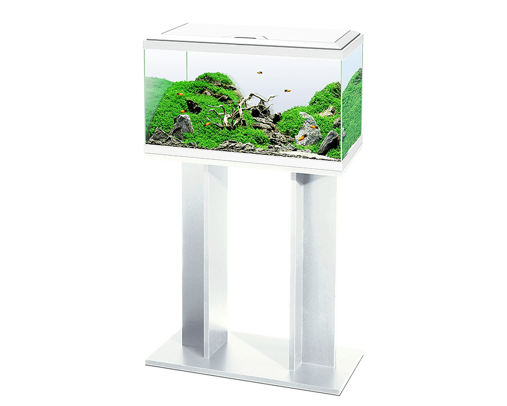 Ciano Aqua 80 LED aquarium set white