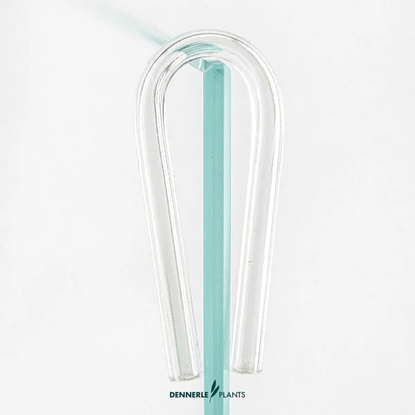Dennerle Plants CO2 Diffuser