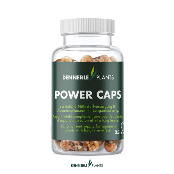 Dennerle Plants Power Caps