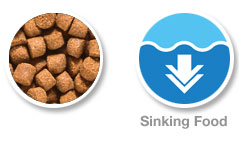 Hikari Sinking Cichlid Pellet 100g