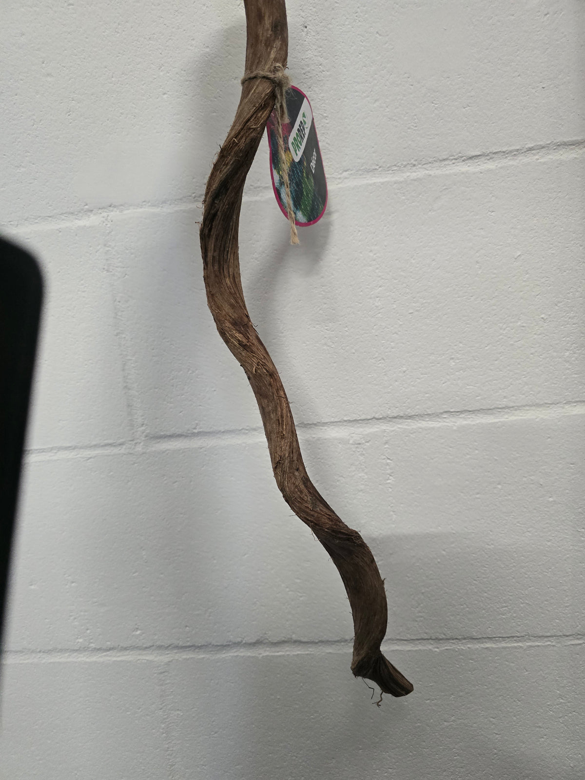 PR Natural Frankenstein Liana Vine 60cm
