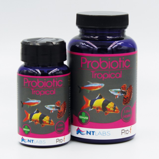NTLabs probiotic tropical 45g