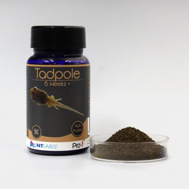 NTLabs Pro-f - Tadpole Food