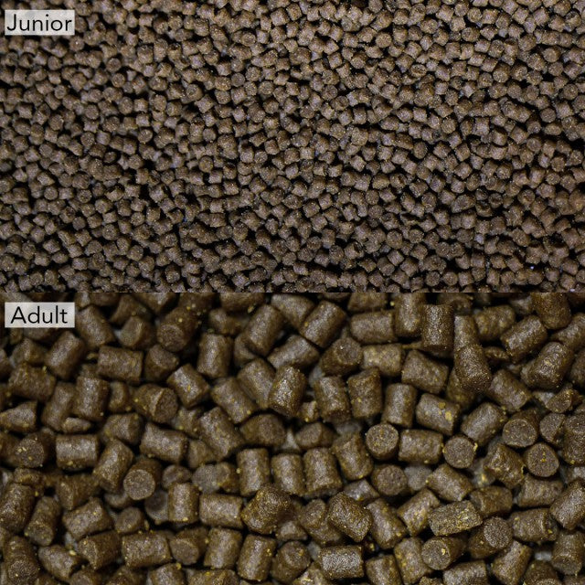 NTLabs axolotl pellets 165g