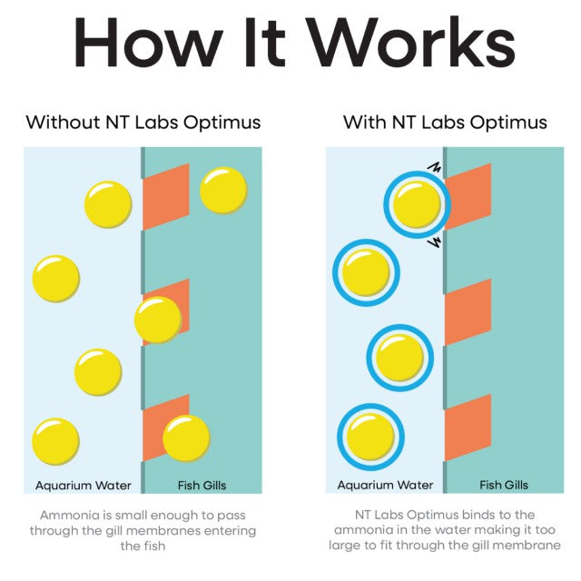 NTLabs Optimus 100ml