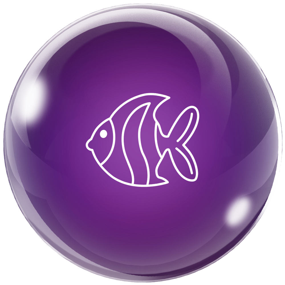 Fresh Water – Little Fish Aquatics