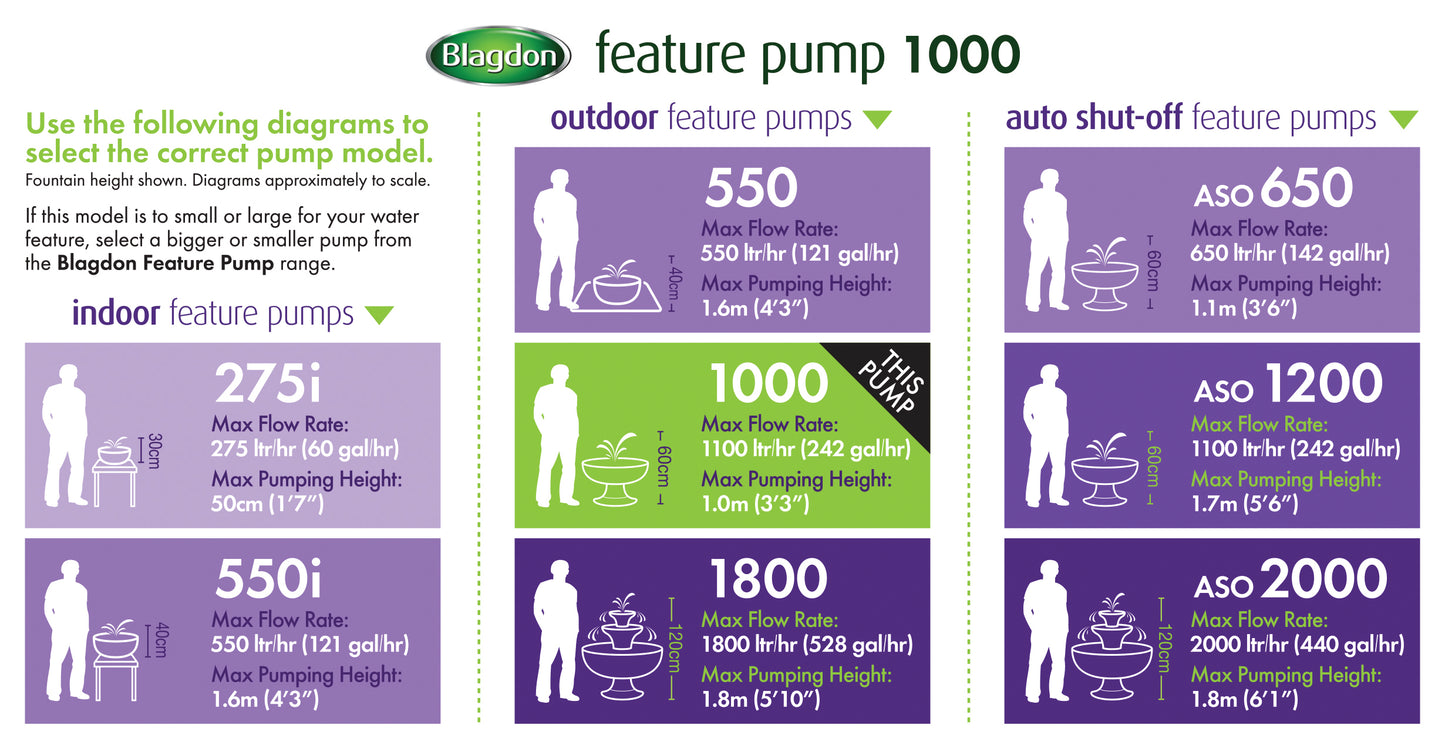 Blagdon feature pump 1000