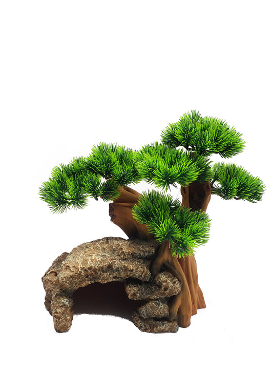 Aqua one Bonsai with cave