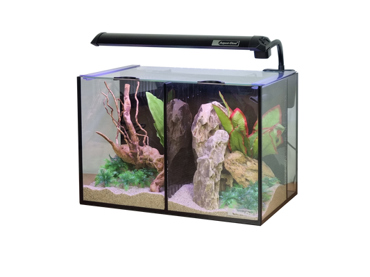 Aqua One Betta duo aquarium