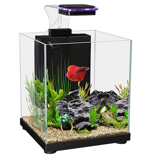 Aqua one betta sanctuary aquarium black