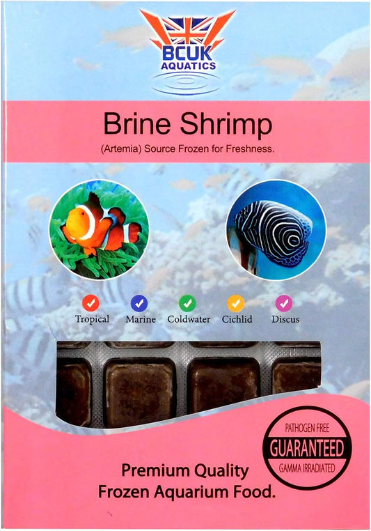 BCUK frozen brineshrimp 100g blister