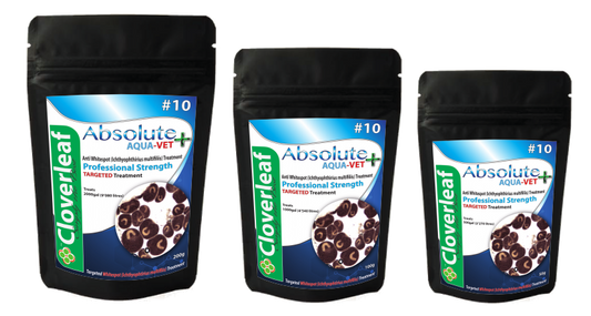 Absolute Aqua-Vet+ treatment for Whitespot+ 100g