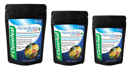 Absolute Aqua-Vet+ Recovery+ 100g