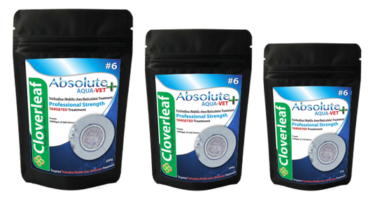 Absolute Aqua-Vet+ treatment for Trichodina+100g