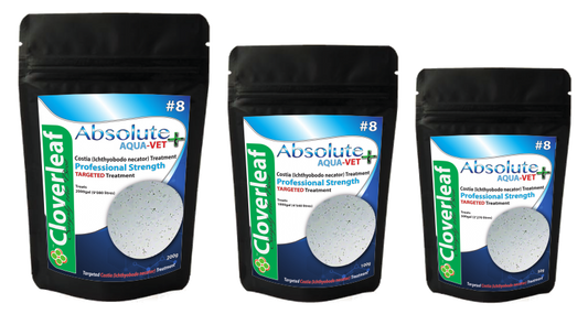 Absolute Aqua-Vet+ treatment for Costia+ 50g