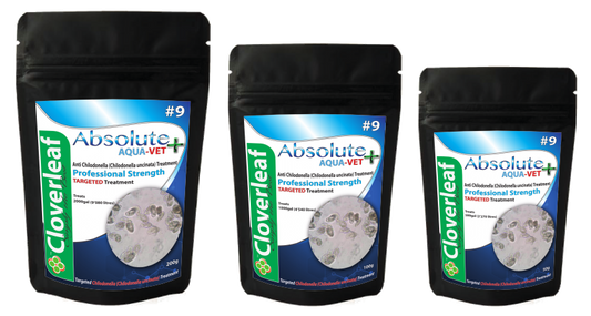 Absolute Aqua-Vet+ treatment for Chilodonella+ 100g