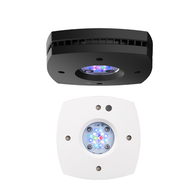 AI PRIME 16 HD Led light - BLACK