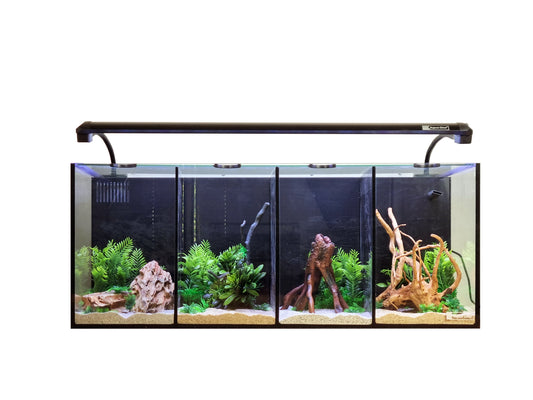 Aqua One Betta quad aquarium