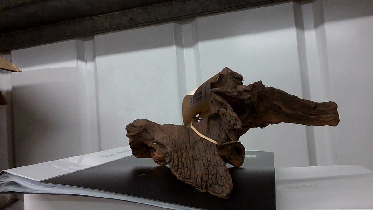 Karoo Mopani wood X small