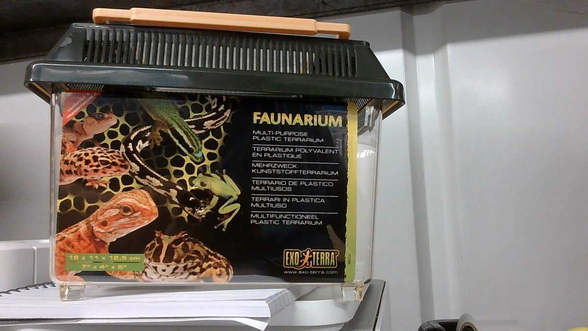 PT Std Faunarium Mini 18x11x12.5cm